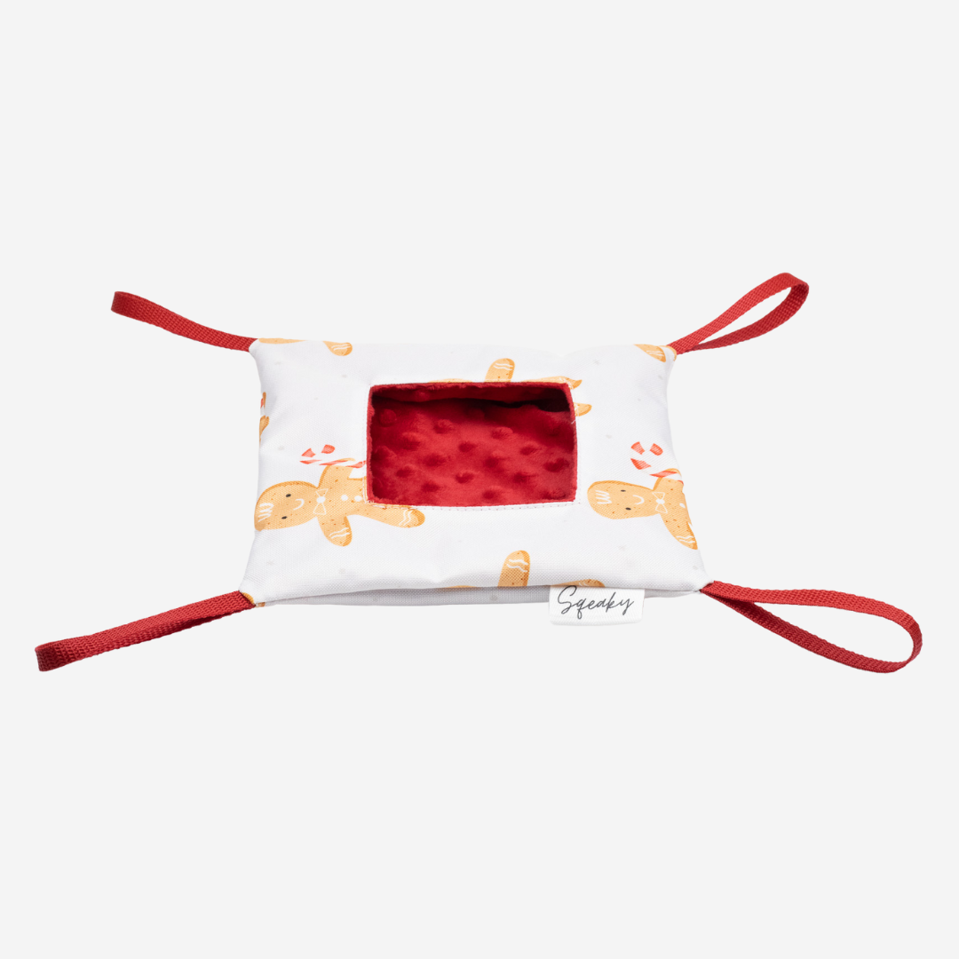 Kolekcja-swiateczna-Gingerbread-Dla-gryzonia-Sqeaky-21.png